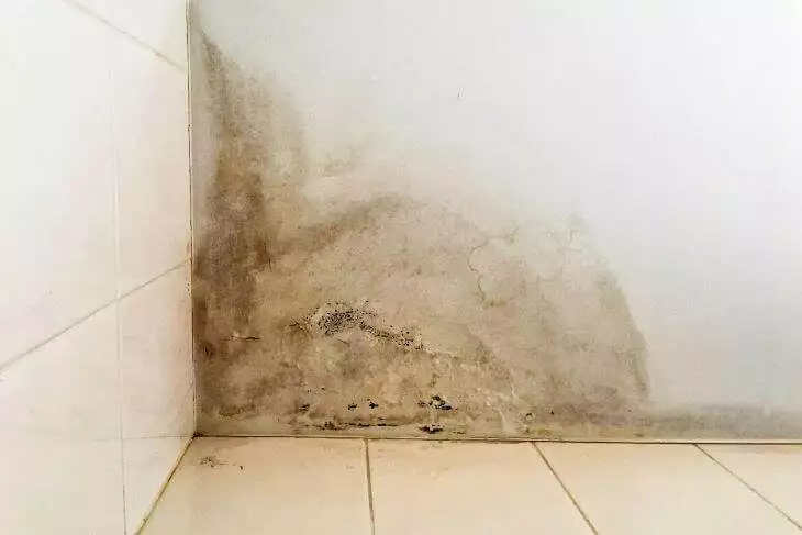 Waterschade door een verborgen lek in de muur